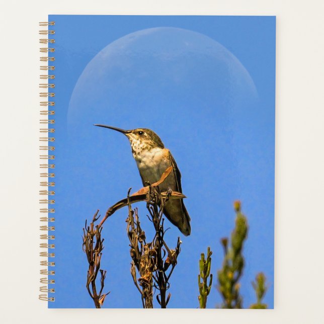 Anna’s Hummingbird Perched Against Full Moon Photo Planer (Vorderseite)