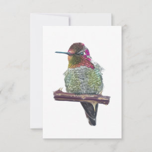 Anna’s Hummingbird Postcard-Style Note Card Mitteilungskarte