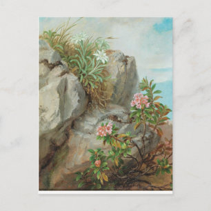 Anna Stainer-Knittel Alpenrosen im Vintage-Stil Postkarte