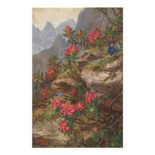 Anna Stainer-Knittel Vintage Alpen-Blume Fotodruck