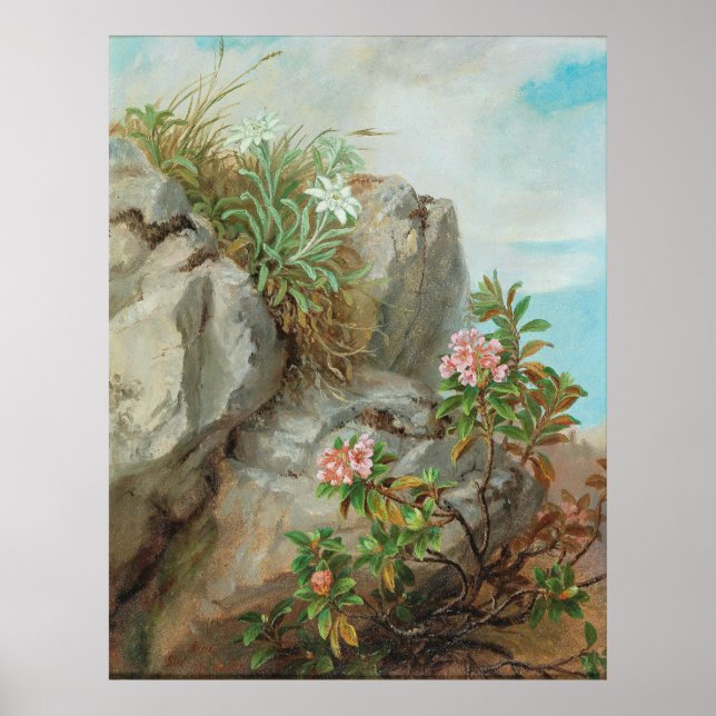 Anna Stainer-Knittel Vintage Alpen-Rose Poster (Vorne)