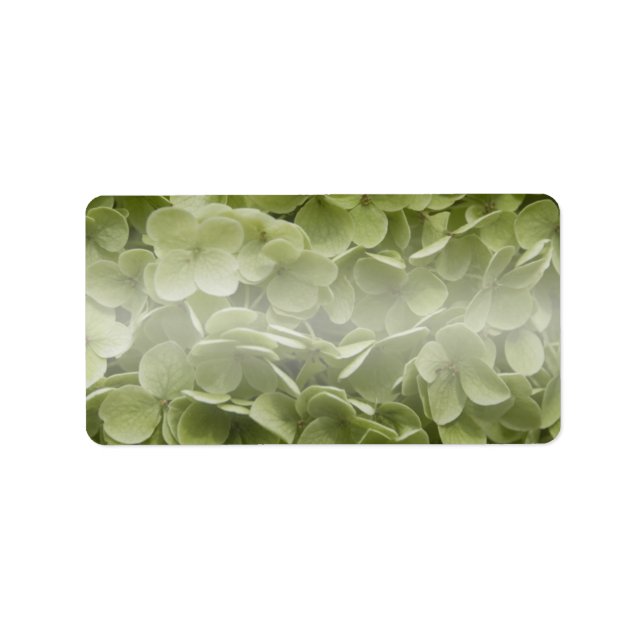 Annabelle Hydrangea Blume Adressaufkleber (Vorne)
