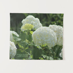 Annabelle Hydrangea Wandteppich