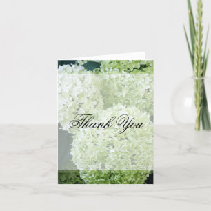 Annabelle Hydrangeas Vielen Dank Dankeskarte