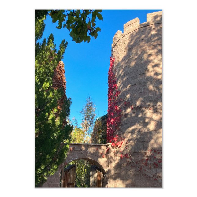 Annäherung an die Burg Fotodruck (Vorne)