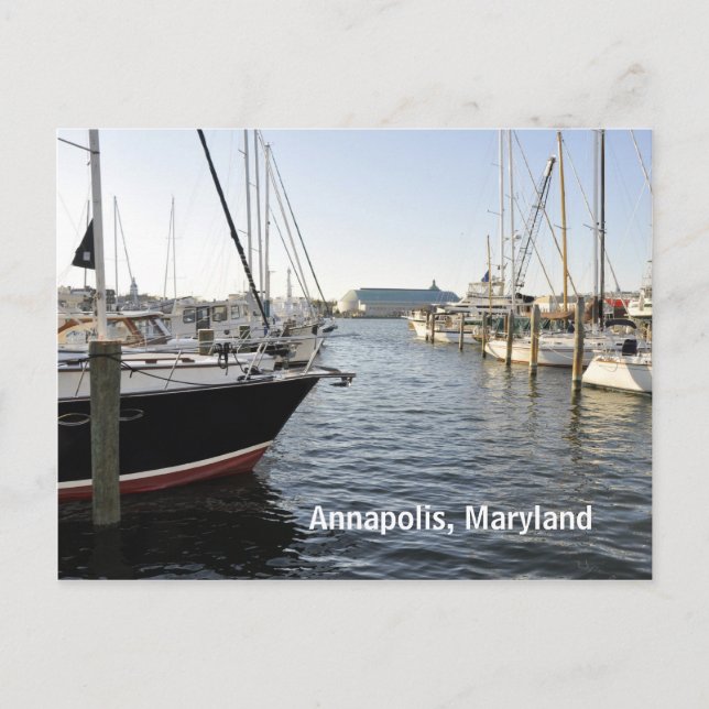 Annapolis, Maryland Postkarte (Vorderseite)