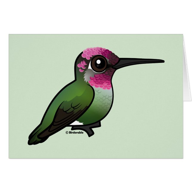Anna's Hummingbird (Vorderseite (Horizontal))