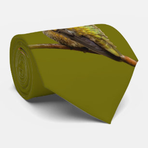 Anna's Hummingbird auf der Scarlet Trumpetvine Krawatte