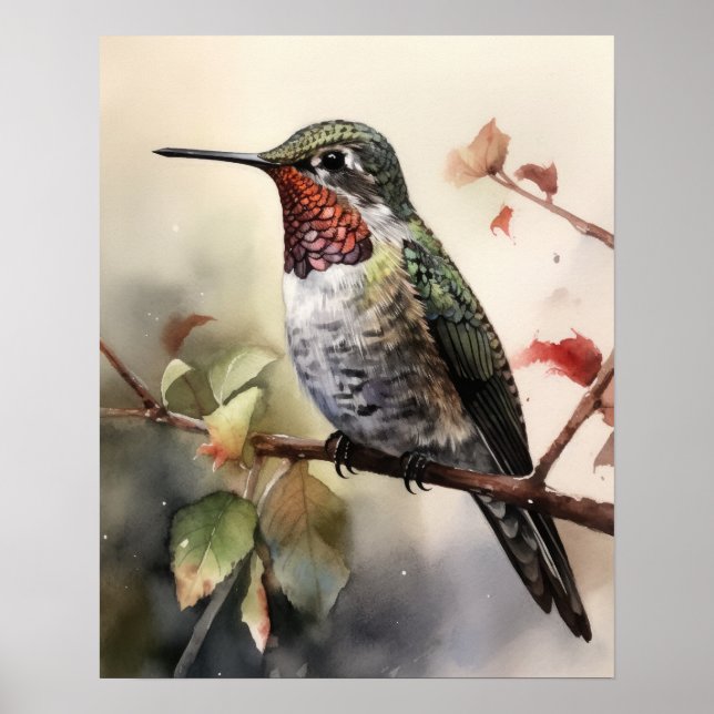 Anna's Hummingbird Bird Art Print Poster (Vorne)