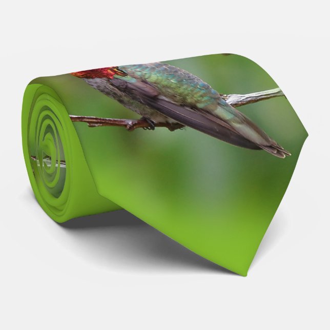 Anna's Hummingbird: Dieser König trägt eine rosa K Krawatte (Gerollt)