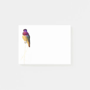 Anna's Hummingbird Foto 4x3 Notepad Post-it Klebezettel