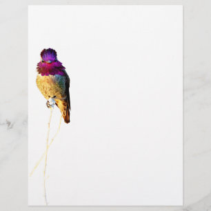 Anna's Hummingbird Foto Letterhead Stationery Briefbogen