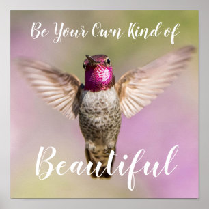 Anna's Hummingbird Inspiration Beauty Poster