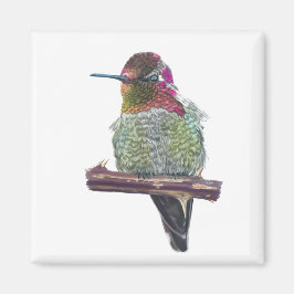 Anna's Hummingbird Magnet