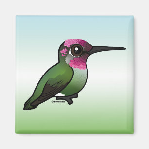 Anna's Hummingbird Magnet
