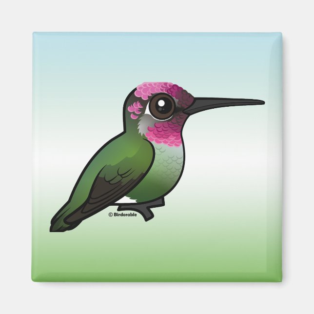 Anna's Hummingbird Magnet (Vorne)