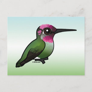 Anna's Hummingbird Postkarte