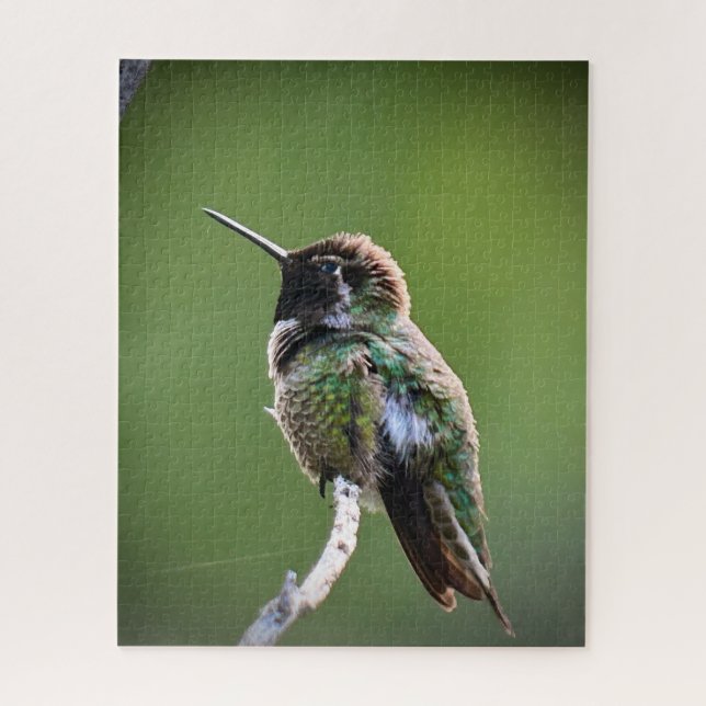 Anna's Hummingbird Puzzle (Vertikal)