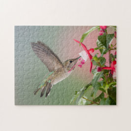 Anna's Hummingbird Puzzle