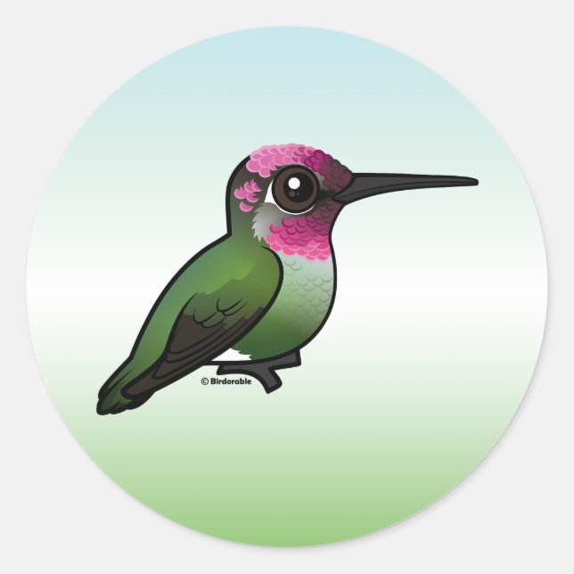 Anna's Hummingbird Runder Aufkleber (Vorderseite)