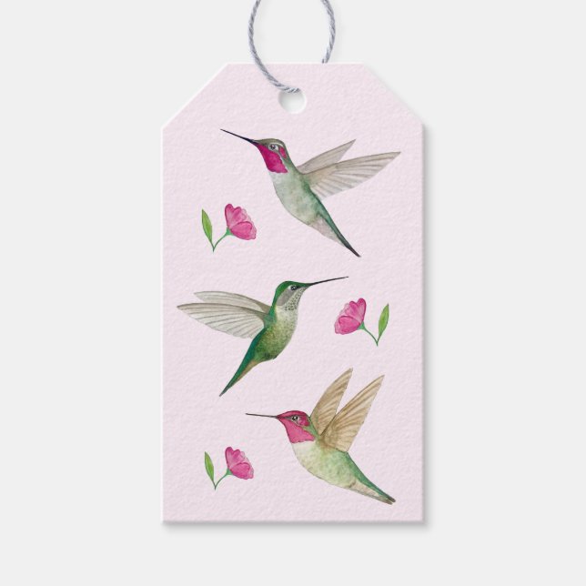 Anna's Hummingbirds Geschenk Tag Geschenkanhänger (Vorderseite)