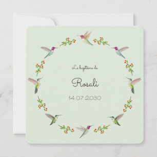 Anna's Hummingbirds Taufe