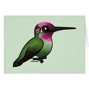 Annas Kolibri