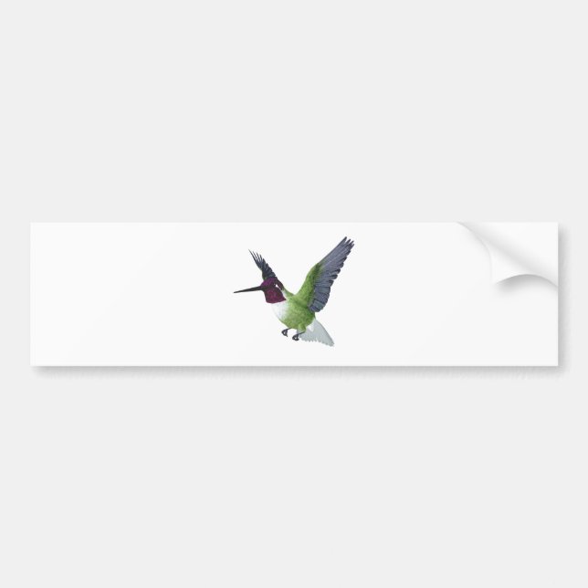 Annas Kolibri-Mann Autoaufkleber (Vorne)