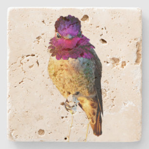 Anna's Kolibri Rosa Vogel Foto Steinuntersetzer