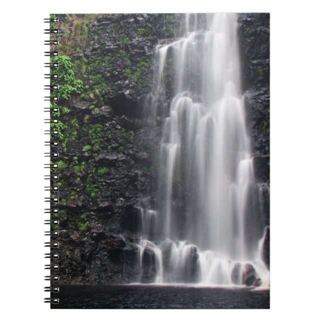 "Anna's Pond"-Notebook Notizblock (Vorderseite)