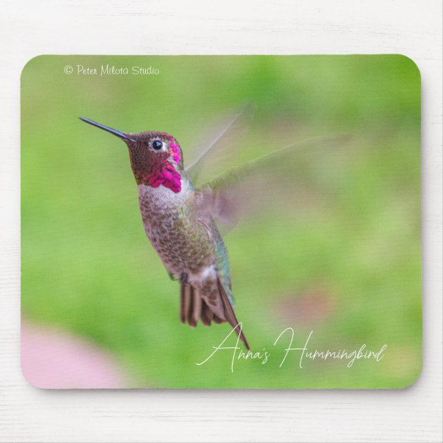 Annaskolibri Mousepad (Vorne)