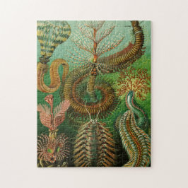 Annelids von Ernst Haeckel Puzzle