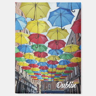 Anne's Lane Dublin Ireland Travel Magnet