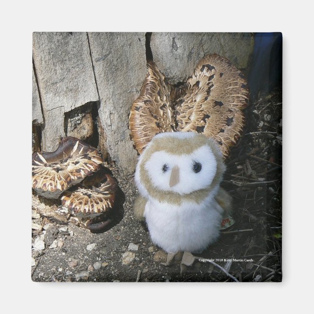 Annie & Mushrooms Magnet (Vorne)