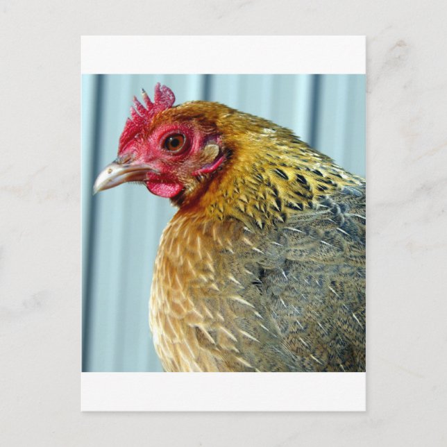 Annie Postkarte (Vorderseite)