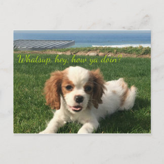 Annie the Queen, Grußkarte Postkarte