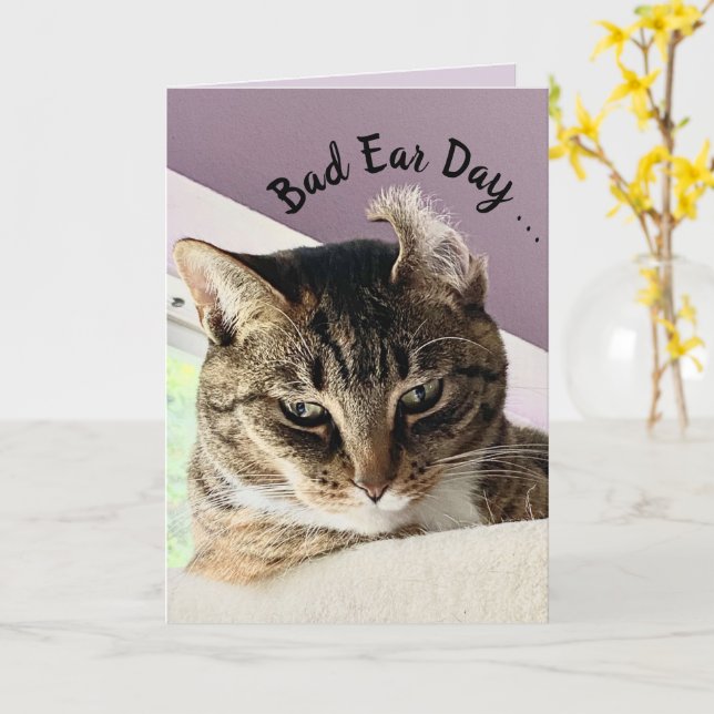 Annie's Bad Oar Day (Cat Greeting Card) Karte (Gelbe Blume)