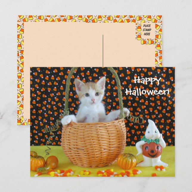 Annie's Halloween-Korbkatze /Kitten Postkarte (Vorne/Hinten)
