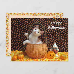 Annie's merkwürdige Halloween-Katze Postkarte