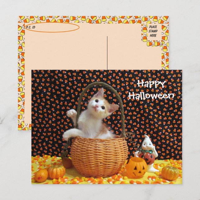 Annies merkwürdige Halloween-Katze verschieben Postkarte (Vorne/Hinten)