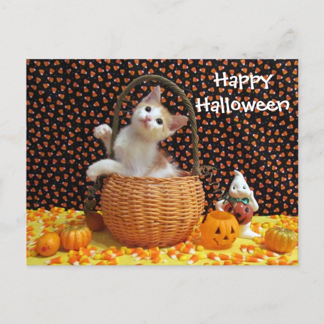 Annie's Sweet Halloween Cat / Kitten Postcard (b) Postkarte (Vorderseite)
