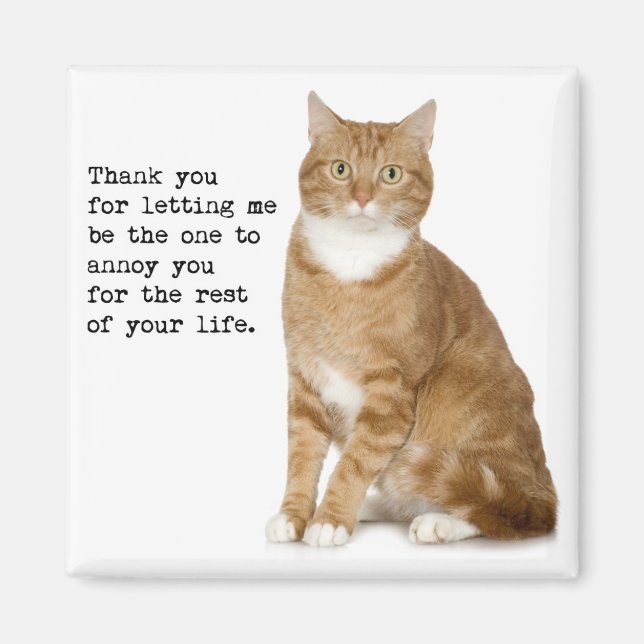 Annoying Cat Magnet (Vorne)