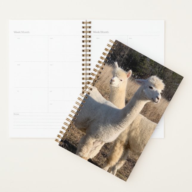 Annual Planner - Alpacas Planer (Anzeige)