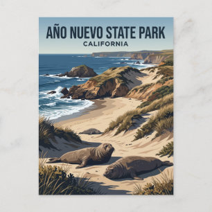 Año Nuevo State Park Kalifornien Postkarte