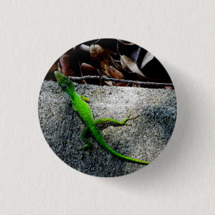 Anole 6704 button