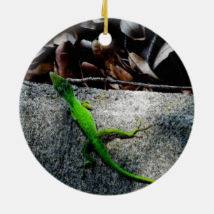 Anole 6704 keramik ornament