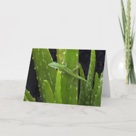 Anole Eidechse auf Aloe-Pflanze Karte