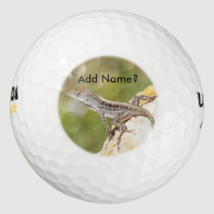 Anole Eidechsen-Foto-Golf-Bälle Golfball