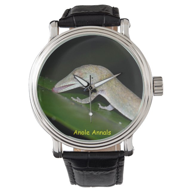 Anole Watch: Anolis occultus Armbanduhr (Vorderseite)