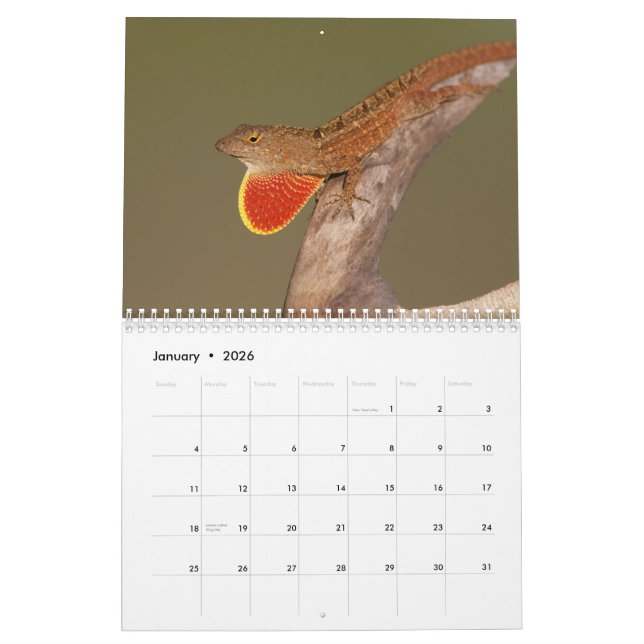 Anoles 2012 kalender (Jan 2026)